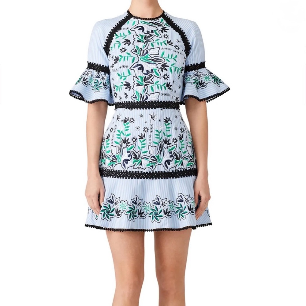 Amur Logan Embroidered Dress Size 2 Blue Striped Floral Ruffle Sleeve